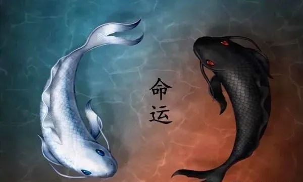 周易六十四卦基礎(chǔ)認知教學(xué)（五千字長文）