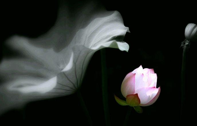 周易八卦謙卦詳解_詳解八卦中謙卦代表什么_八卦中的謙卦詳解